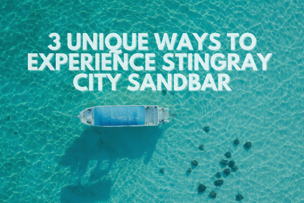 3 Unique Ways To Experience Stingray City Sandbar in Grand Cayman