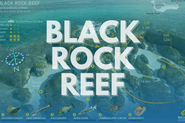 Black Rock Reef