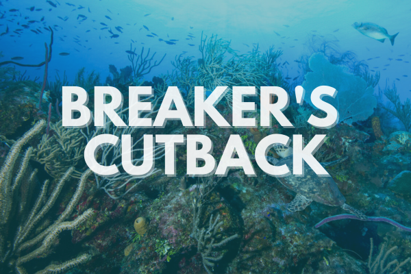 Breaker's Cutback: The Last, But Far From The Least