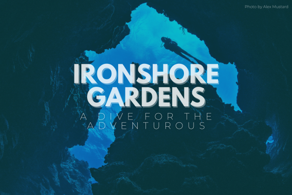 Ironshore Gardens: A Dive For The Adventurous (Especially During The Summer)