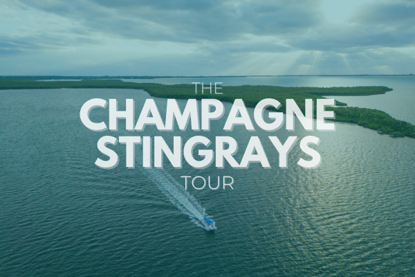 Ocean Frontiers' Exclusive Champagne Stingrays Tour in Grand Cayman