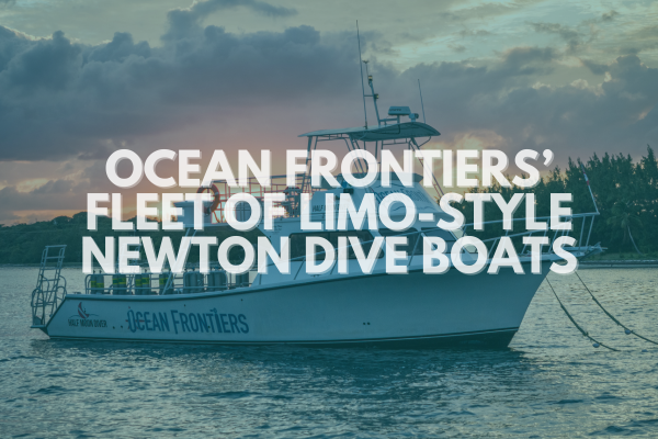Ocean Frontiers’ Fleet of Limo-Style Dive Boats