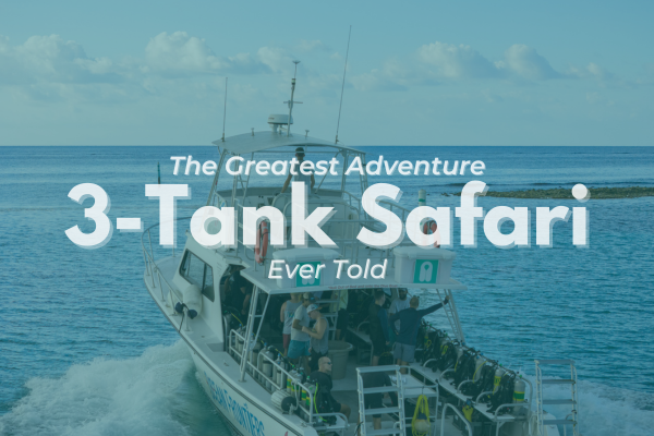 The Greatest Adventure Ever Told - The 3-Tank Safari by Ocean Frontiers