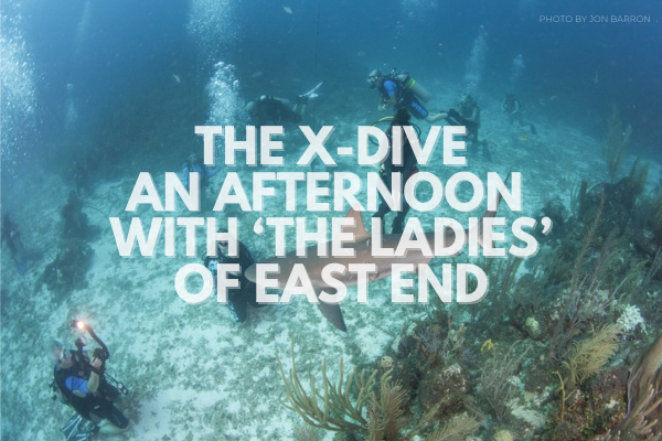 The X-Dive: An Afternoon With 