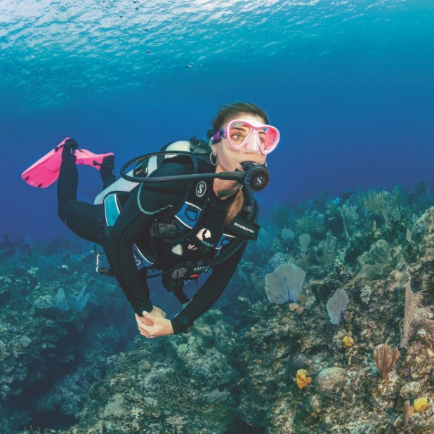 Reef Roamer 1-Tank Boat Dive